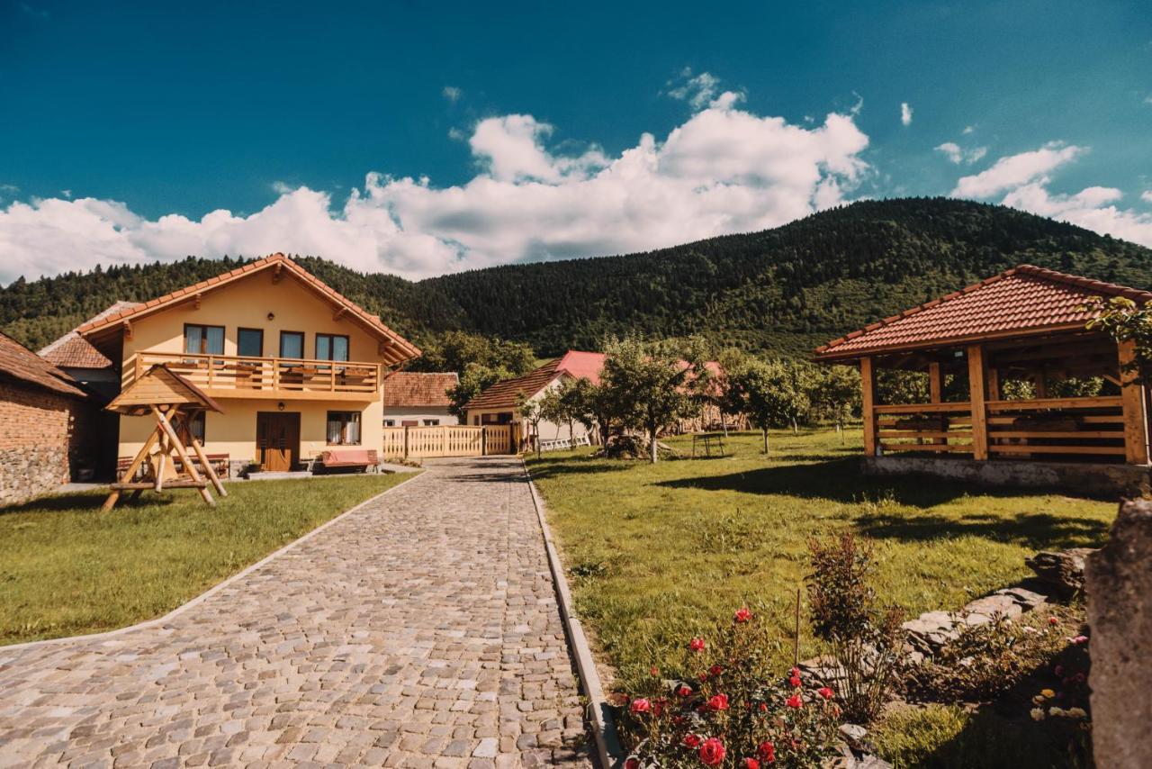 Casa Bunicilor Ξενοδοχείο Nucsoara  Εξωτερικό φωτογραφία