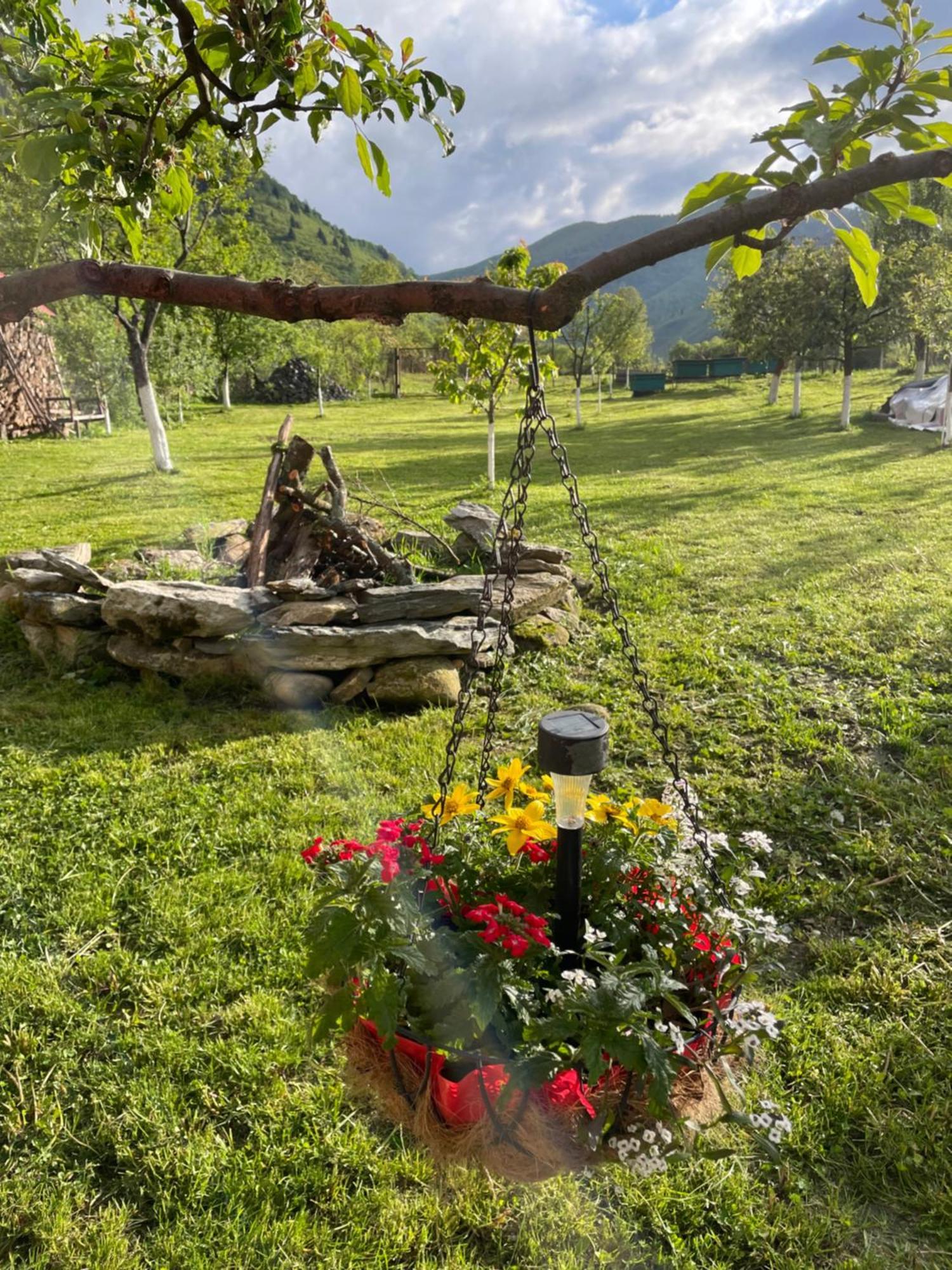 Casa Bunicilor Ξενοδοχείο Nucsoara  Εξωτερικό φωτογραφία